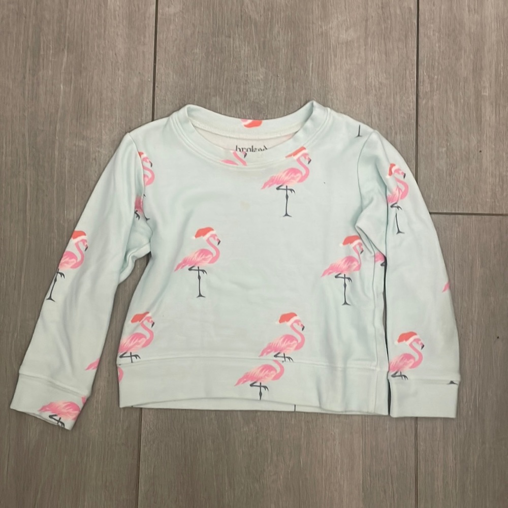 Brokedown Holiday Flamingos print sweatshirt